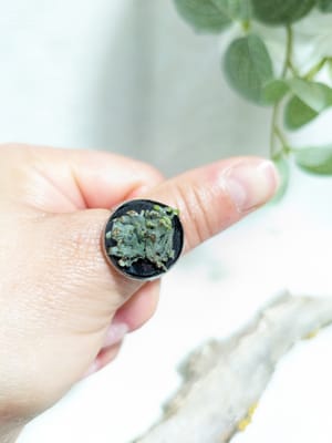 Inel reglabil, Botanical - Thumbnail 3